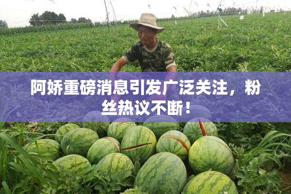阿娇重磅消息引发广泛关注，粉丝热议不断！