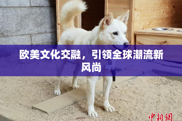 欧美文化交融，引领全球潮流新风尚