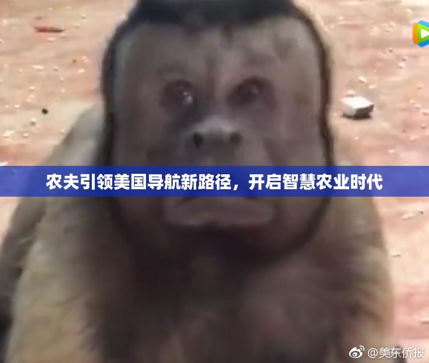 农夫引领美国导航新路径，开启智慧农业时代