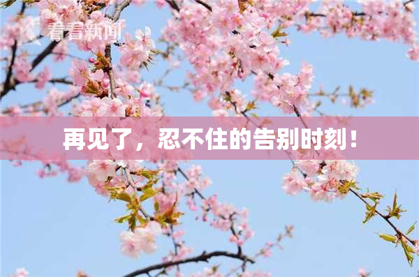 再见了，忍不住的告别时刻！