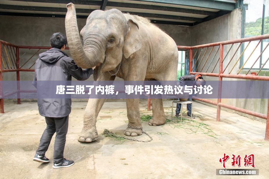 唐三脱了内裤，事件引发热议与讨论