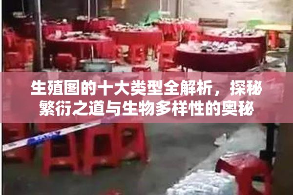 生殖图的十大类型全解析，探秘繁衍之道与生物多样性的奥秘
