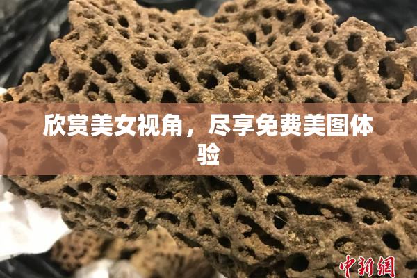 欣赏美女视角，尽享免费美图体验