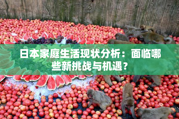 日本家庭生活现状分析：面临哪些新挑战与机遇？