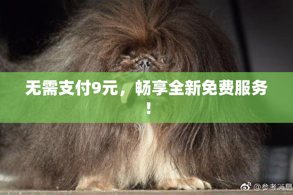 无需支付9元，畅享全新免费服务！