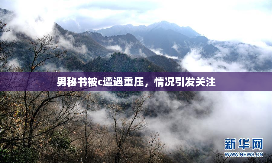 男秘书被c遭遇重压，情况引发关注