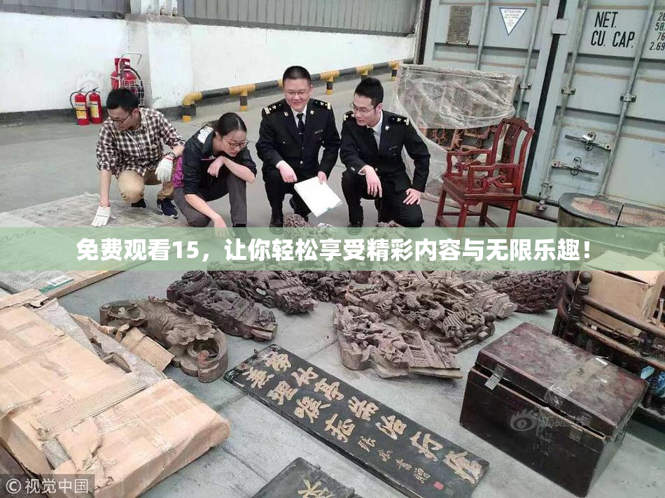 免费观看15，让你轻松享受精彩内容与无限乐趣！