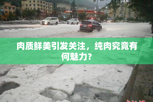 肉质鲜美引发关注，纯肉究竟有何魅力？