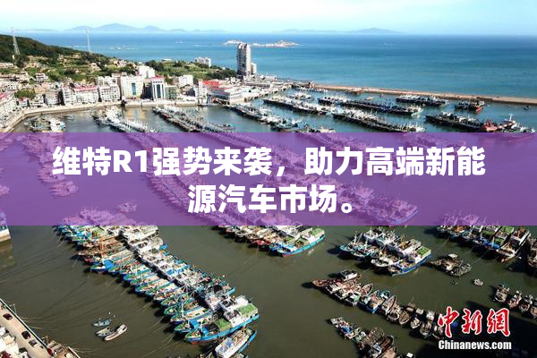 维特R1强势来袭，助力高端新能源汽车市场。