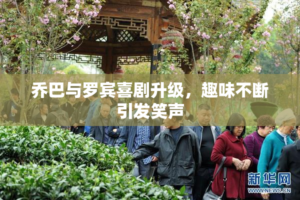 乔巴与罗宾喜剧升级，趣味不断引发笑声