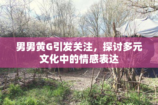 男男黄G引发关注，探讨多元文化中的情感表达