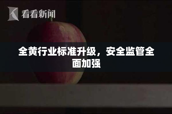 全黄行业标准升级，安全监管全面加强