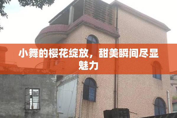 小舞的樱花绽放，甜美瞬间尽显魅力