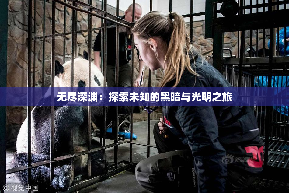 无尽深渊：探索未知的黑暗与光明之旅