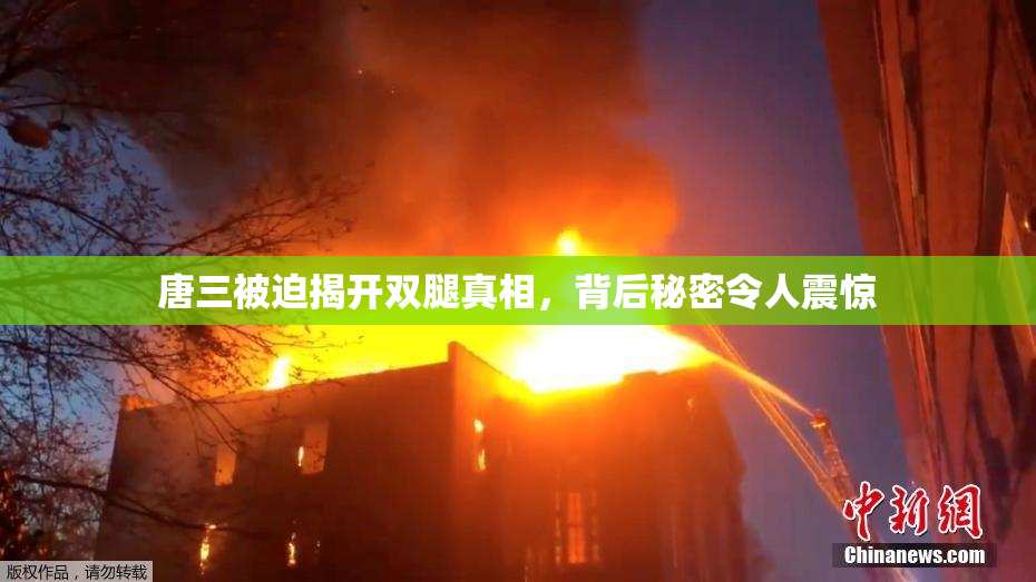 唐三被迫揭开双腿真相，背后秘密令人震惊