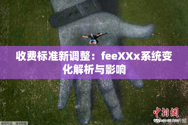 收费标准新调整：feeXXx系统变化解析与影响