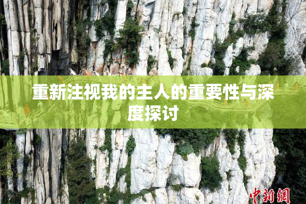 重新注视我的主人的重要性与深度探讨