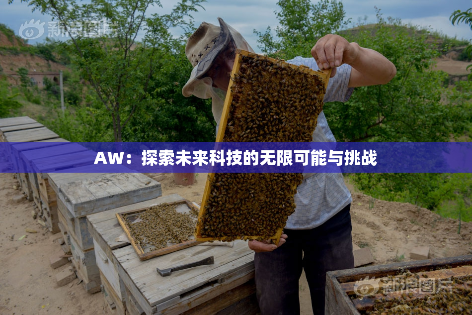 AW：探索未来科技的无限可能与挑战