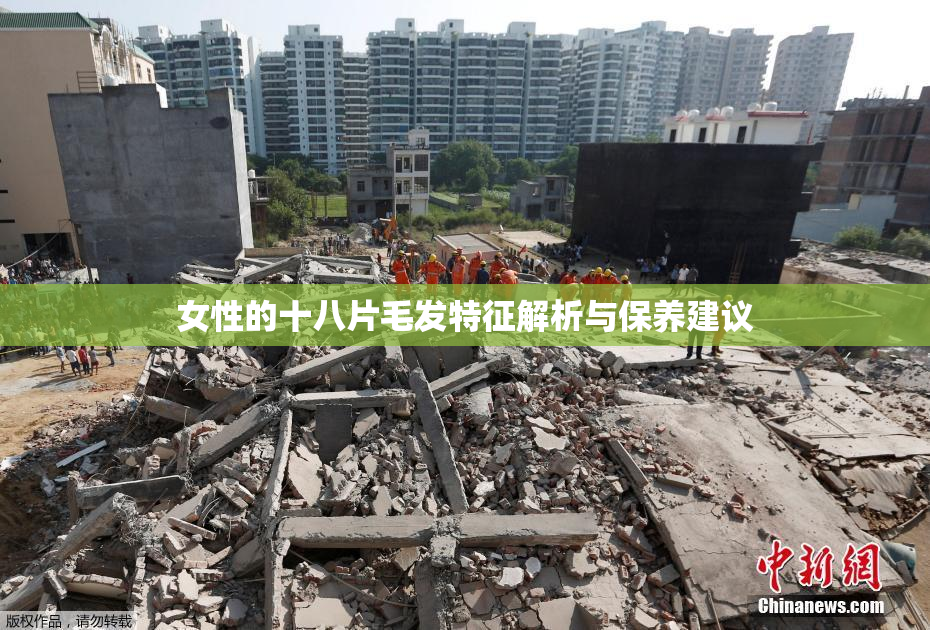女性的十八片毛发特征解析与保养建议