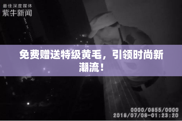 免费赠送特级黄毛，引领时尚新潮流！