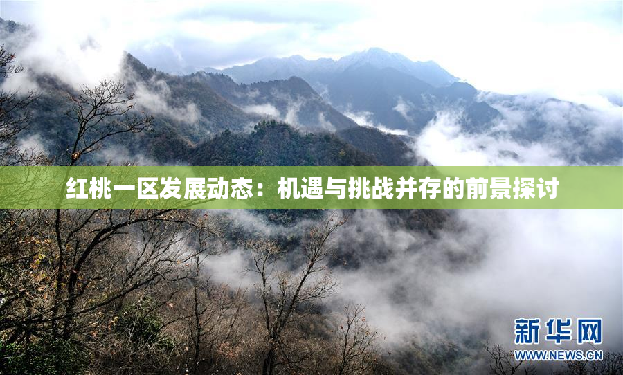 红桃一区发展动态：机遇与挑战并存的前景探讨