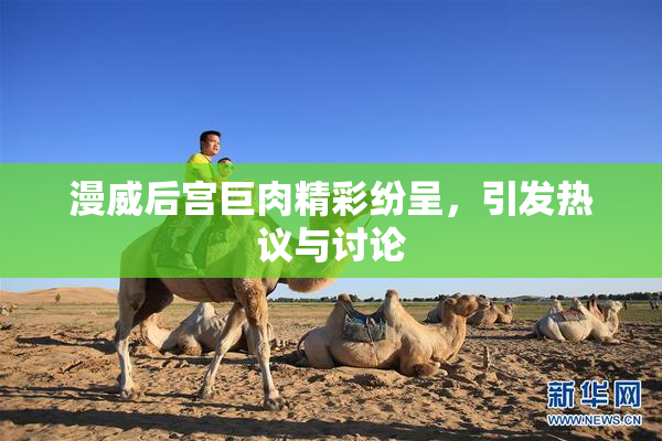 漫威后宫巨肉精彩纷呈，引发热议与讨论