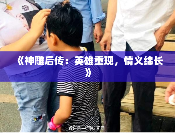 《神雕后传：英雄重现，情义绵长》