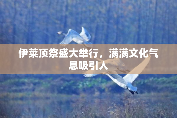 伊莱顶祭盛大举行，满满文化气息吸引人