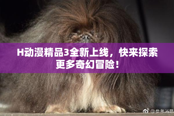 H动漫精品3全新上线，快来探索更多奇幻冒险！
