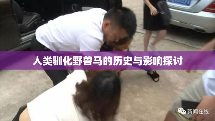 人类驯化野兽马的历史与影响探讨