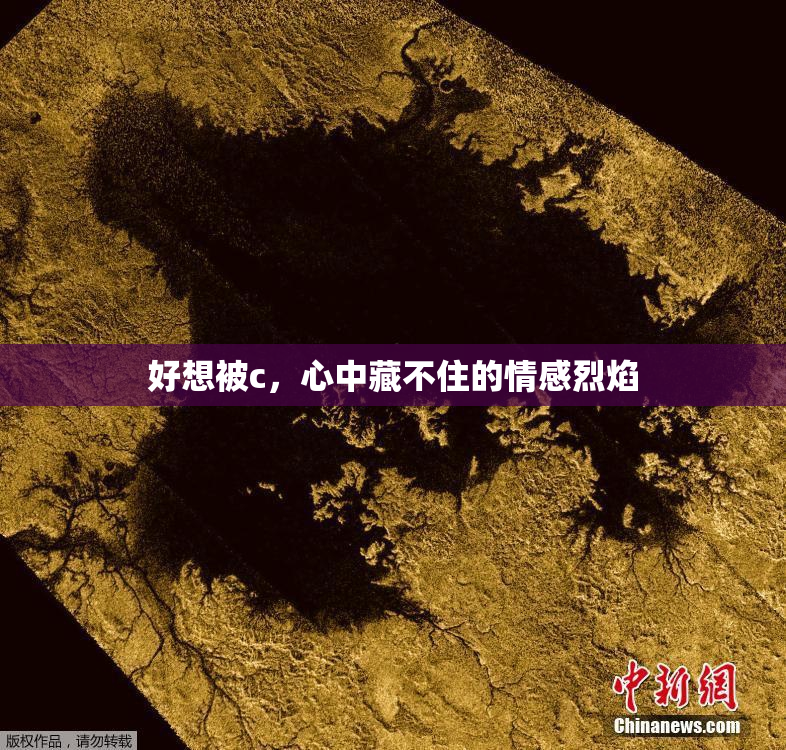 好想被c，心中藏不住的情感烈焰