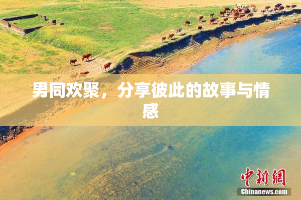 男同欢聚，分享彼此的故事与情感