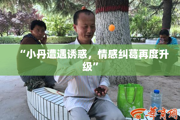 “小丹遭遇诱惑，情感纠葛再度升级”