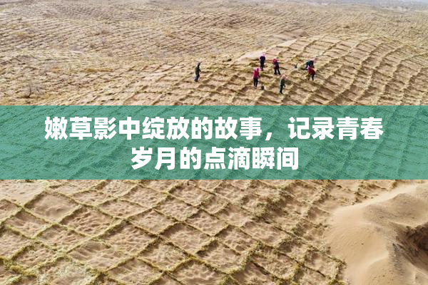 嫩草影中绽放的故事，记录青春岁月的点滴瞬间