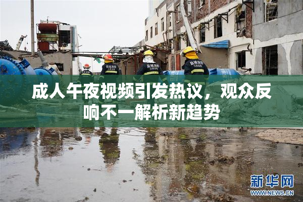 成人午夜视频引发热议，观众反响不一解析新趋势