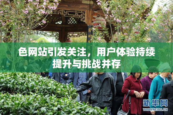 色网站引发关注，用户体验持续提升与挑战并存