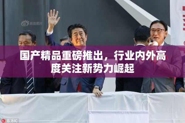 国产精品重磅推出，行业内外高度关注新势力崛起