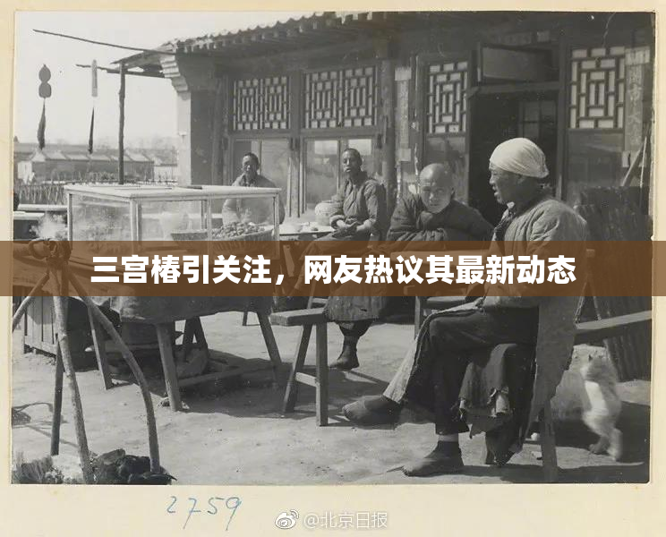 三宫椿引关注，网友热议其最新动态