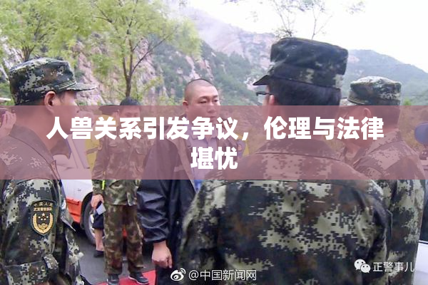 人兽关系引发争议，伦理与法律堪忧