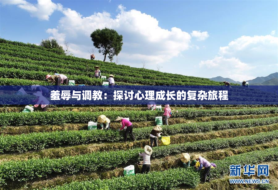 羞辱与调教：探讨心理成长的复杂旅程