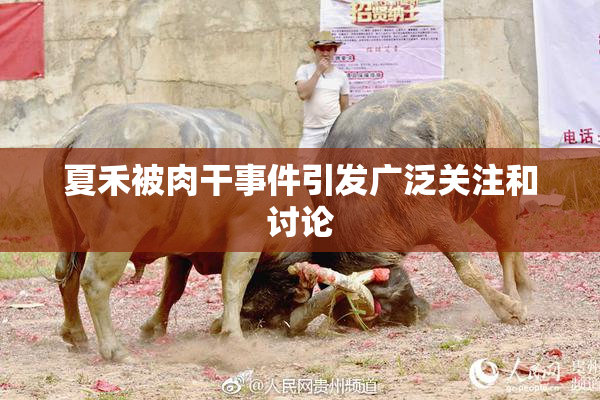 夏禾被肉干事件引发广泛关注和讨论
