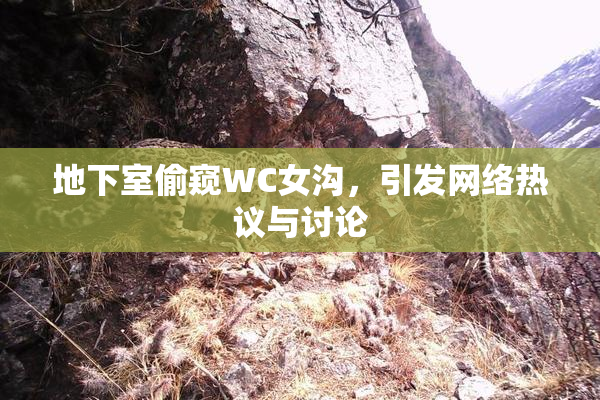 地下室偷窥WC女沟，引发网络热议与讨论