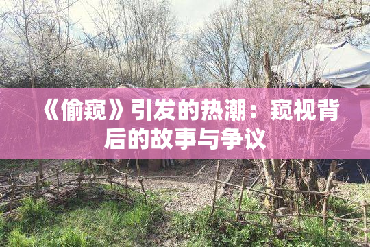 《偷窥》引发的热潮：窥视背后的故事与争议