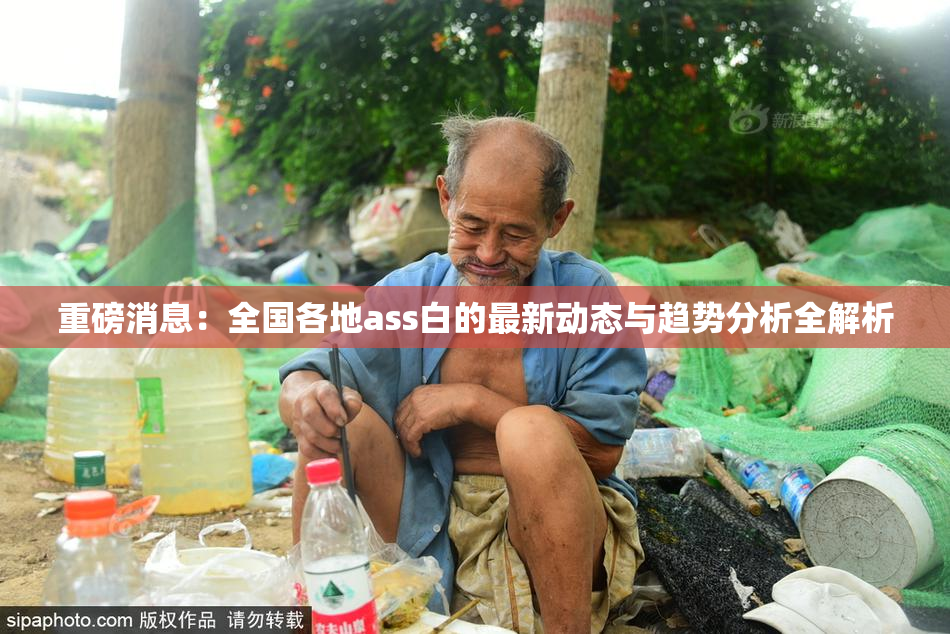 重磅消息：全国各地ass白的最新动态与趋势分析全解析