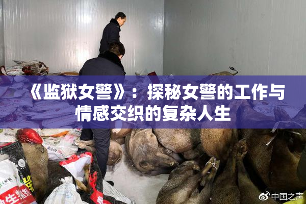 《监狱女警》：探秘女警的工作与情感交织的复杂人生