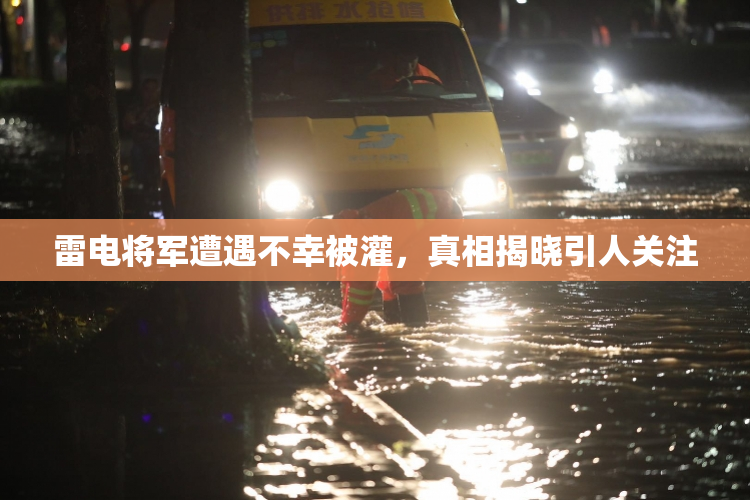 雷电将军遭遇不幸被灌，真相揭晓引人关注