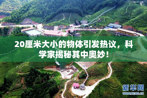20厘米大小的物体引发热议，科学家揭秘其中奥妙！