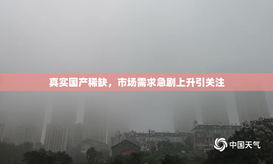 真实国产稀缺，市场需求急剧上升引关注