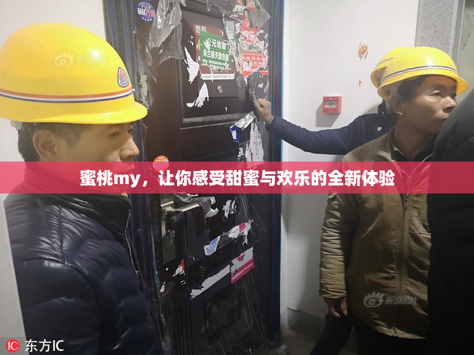 蜜桃my，让你感受甜蜜与欢乐的全新体验