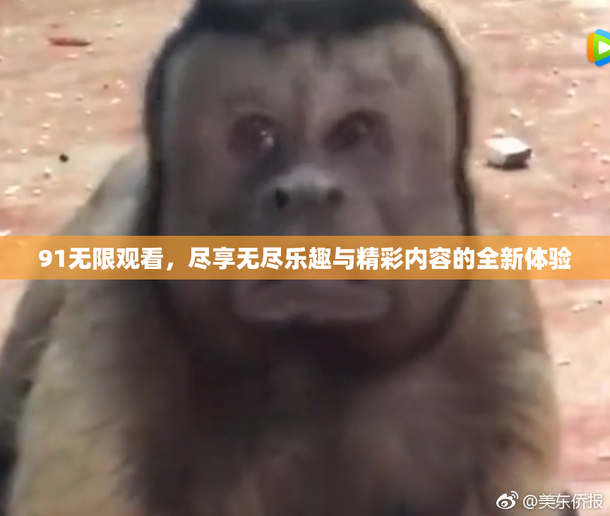 91无限观看，尽享无尽乐趣与精彩内容的全新体验